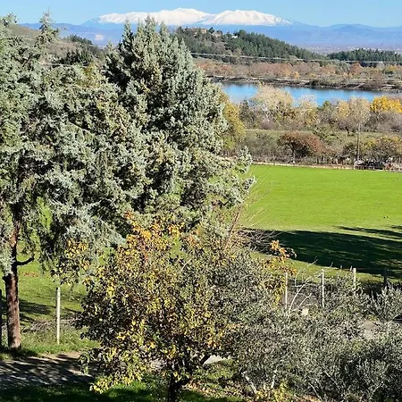 Апартаменты House In The Woods *