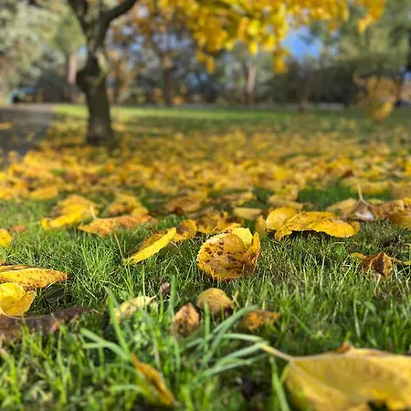 House In The Woods Апартаменты