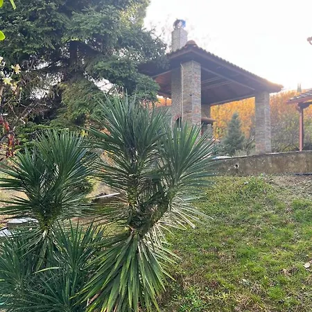 House In The Woods