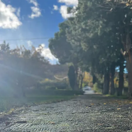 Appartamento House In The Woods *