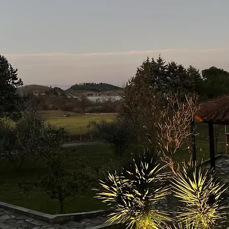 House In The Woods *