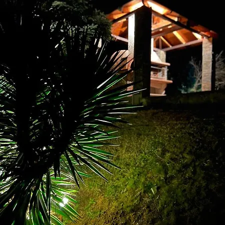 House In The Woods Kardítsa