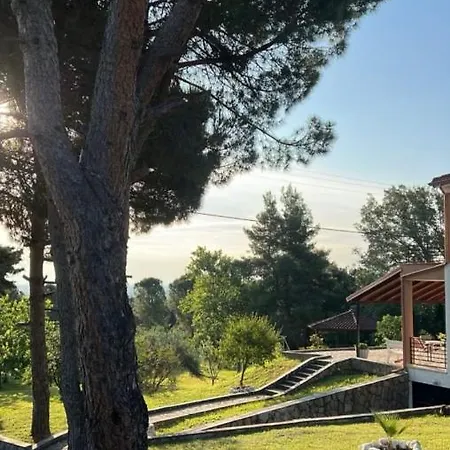 House In The Woods Appartamento *