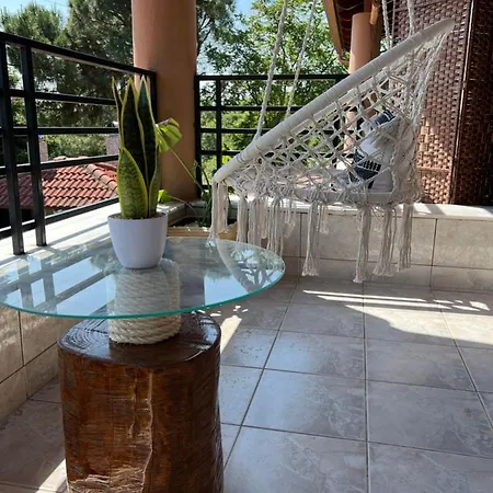 House In The Woods *