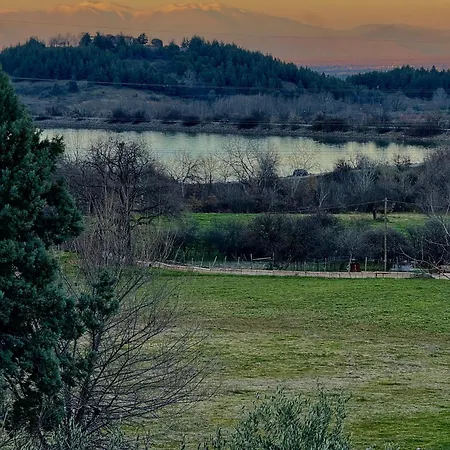 House In The Woods *