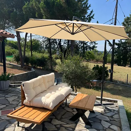 House In The Woods Кардица